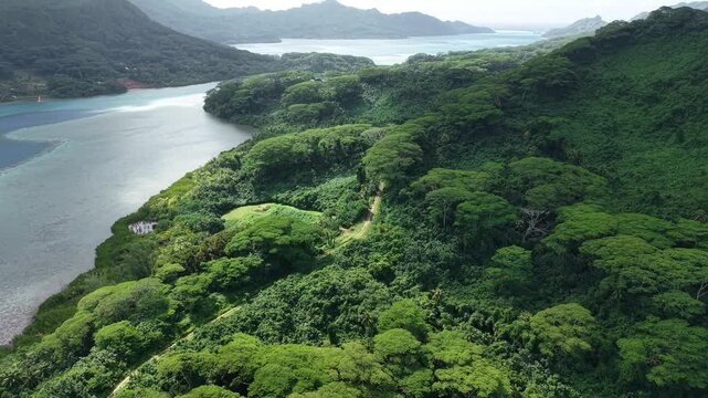 French Polynesia. Drone Shot of Picturesque Huahine Island, Green Rainforest on Hills and Bay