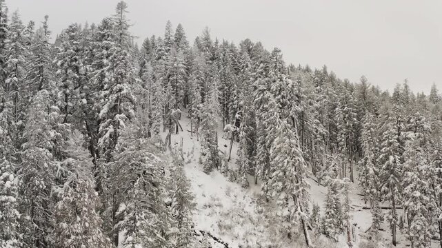 Slow-motion drone orbit revealing powerful descent of Twin Falls in Mono County, California, USA, as it carves through the frozen granite of Mammoth Lakes Basin in Inyo National Forest, Sierra Nevada.
