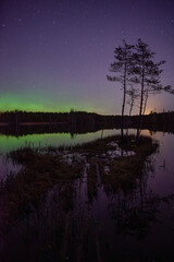 Vertical Aurora Borealis Over Forest Lake With Reflections at Night