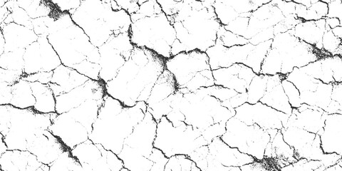 Obraz premium Black and white cracked earth texture with irregular fissures and granular detail arid