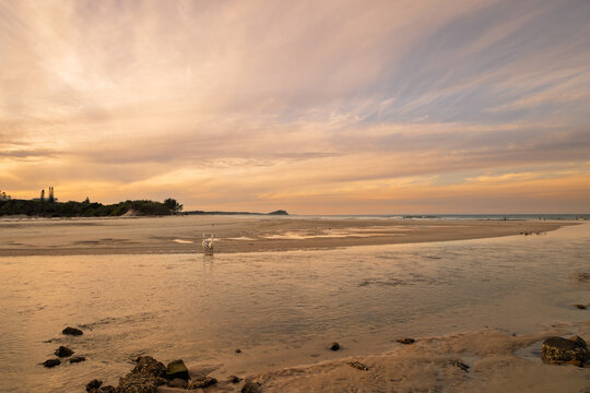 Two pelicans dwarfed by their surroundings of river mouth, beach and dramatic late afternoon, cloud filled sky warming up the scene at Cudgen Creek in Hastings Point in New South Wales, Australia. - Powered by Adobe