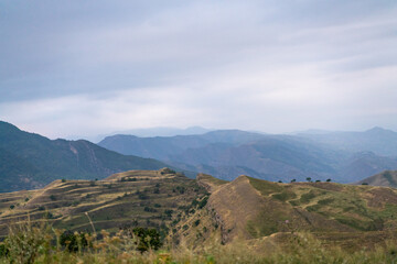 Obraz premium The mountains are covered in trees and the sky is cloudy