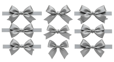 Collection of elegant silver ribbon bows arranged in a grid on transparent background.