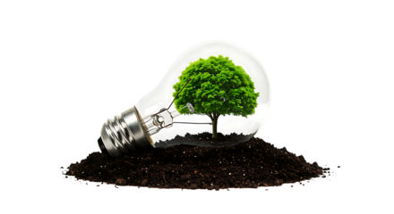 A glowing lightbulb contains a lush green tree sprouting from dark soil on transparent background.