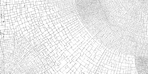 Obraz premium Abstract pattern of irregular black lines on white background resembling wood grain or cracked earth