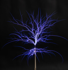 Spectacular electric arc discharge from a Tesla coil with branching sparks in the dark