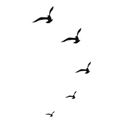 Obraz premium Flying Bird Silhouette on White Background. Vector Illustration.