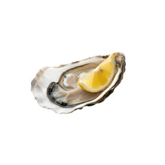 Fresh Oyster with Lemon Slice on White Background for Culinary Use