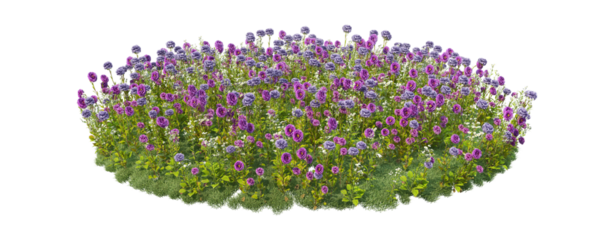 Purple Flower Meadow Isolated on Transparent Background