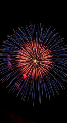 Obraz premium Burst of red and blue fireworks against black backdrop, radiating outward. Symbolizes celebration, night event, and festive atmosphere, perfect for special occasions.