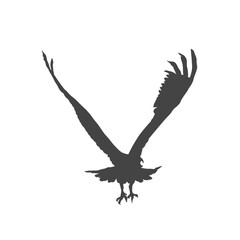 silhouette of an eagle flying without background