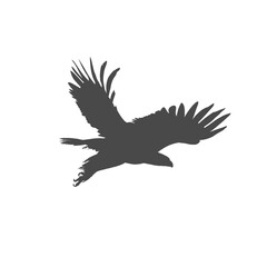 silhouette of an eagle flying without background