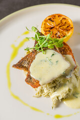 Grilled sea bream fillet with creamy sauce and elegant plating