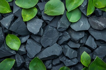 Natural Slate Stones and Green Leaves Background for Texture and Design Projects