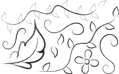 Fototapeta premium Hand drawn floral vine doodle ornament line art