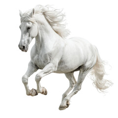 Fototapeta premium PNG of A majestic white horse galloping gracefully in mid-air, showcasing its strength and beauty.