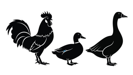 Fototapeta premium Black silhouettes of rooster, duck, and goose on white background, farm animals