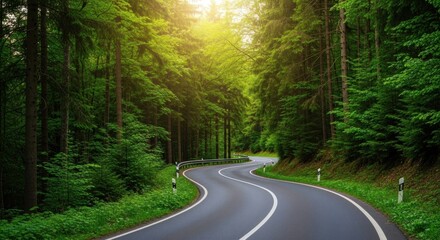 Fototapeta premium A winding road through a lush green forest with sunlight filtering through the trees.