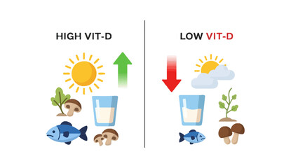 High vs Low Vitamin D Levels Health Comparison Illustration