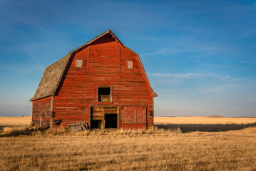 Obraz premium Golden light on a large abandoned red barn on the prairies in Saskatchewan