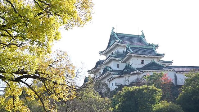 秋の和歌山城 （和歌山県和歌山市, 2025年12月）