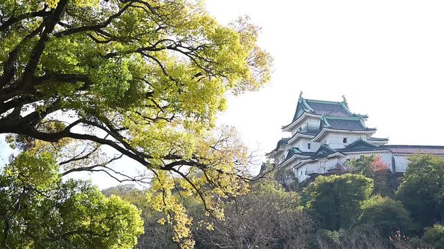 秋の和歌山城 （和歌山県和歌山市, 2025年12月）