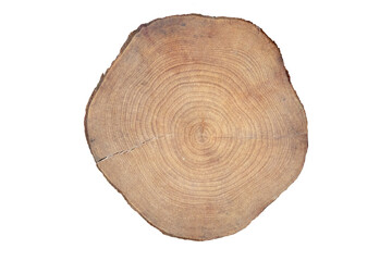 Tree trunk cross section with annual rings and cracks isolated transparent png. Wood texture