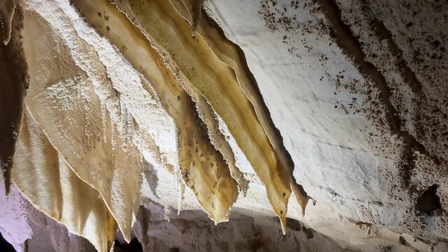 A close-up view of delicate cave curtains inside the Waitomo Caves in New Zealand. Thin mineral sheets form naturally over time, creating intricate textures within the underground environment.