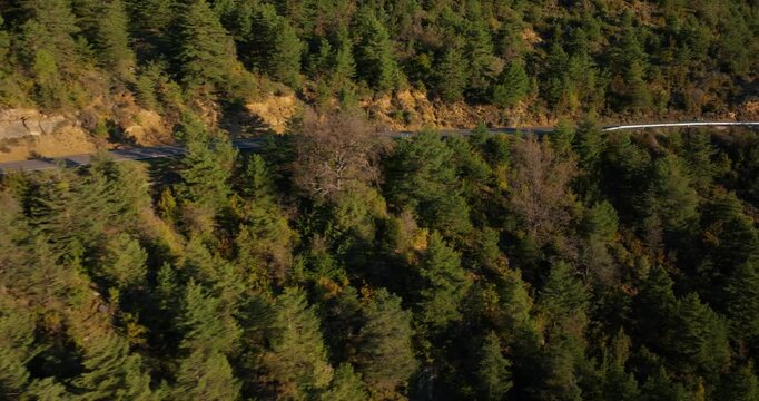 Drone tracking shot captures cyclists navigating the winding mountain roads from Mirador de Fuebla toward A&iacute;nsa, framed by the dense pine forests of the Sobrarbe region, Arago, Spain.
