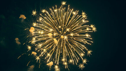 Fototapeta premium Brilliant fireworks display in night sky