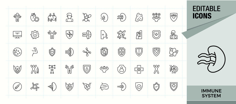 Immune System linear icon set. Includes thin line symbols immune, booster, biology, immune, boost, virus, anti and more. Icons for website. Editable stroke collections. Boost simple icon set.