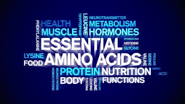 Essential Amino Acids animated word cloud-text design animation tag kinetic typography seamless loop.