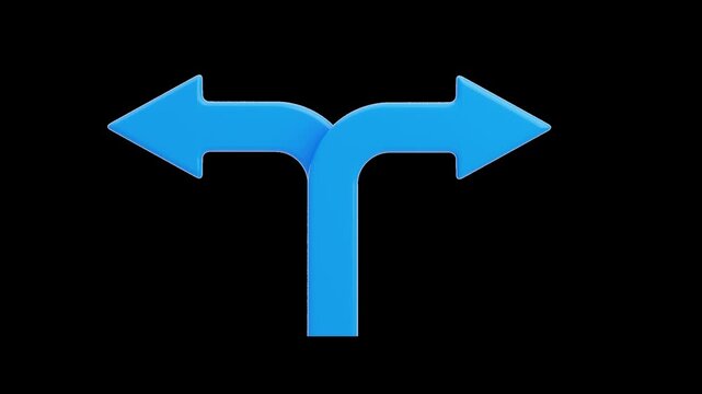 3D Two Way Arrow | Alpha Channel