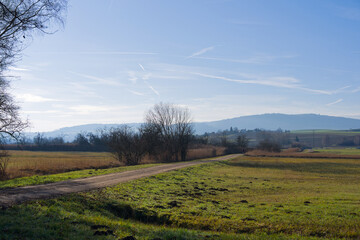 Scenic rural landscape with meadow and blue sky background with Neeracherried nature reserve in the background on a sunny autumn day. Photo taken December 20th, 2025, Zurich H&ouml;ri, Switzerland.