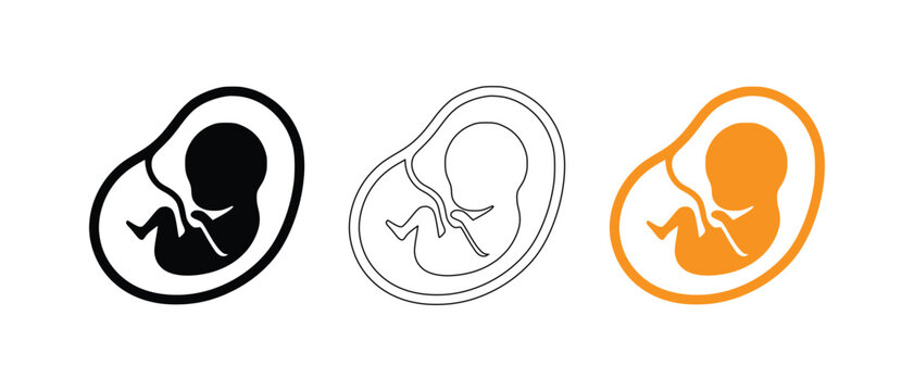 Set of stylized fetus and womb icon set