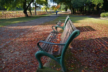 落葉が積もったベンチに、冬の朝陽があたっている公園の風景