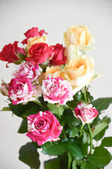 Obraz premium カラフルな薔薇