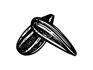 Black hulled sunflower seeds monochrome vector line art black ink sketch. Two oilseeds etching drawing for healthy snack packaging, nutrition blogs, vegan food labels, baking ingredient graphics