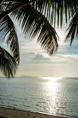 Tropical beach with palm trees at sunset light. Thailand islans, trevel vacation vibes.