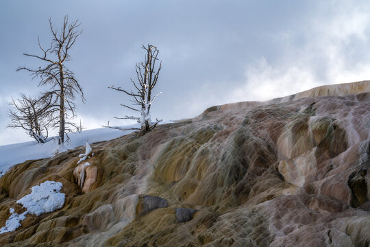 Mammoth hot springs in winter with bare trees and snow