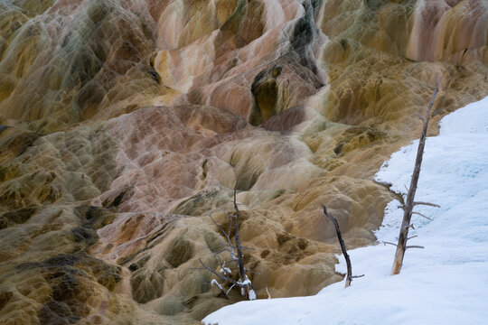Mammoth hot springs in winter with bare trees and snow