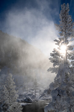 Mist rising from river on frigid morning