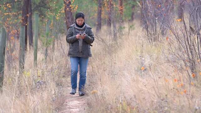 Middle aged Chinese woman looking at cell phone while walking in the forest on an autumn day
