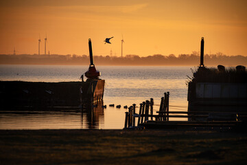 Hafeneinfahrt im warmen Morgenlicht mit Vogel im Flug, Eine ruhige Hafeneinfahrt liegt im warmen Morgenlicht, w&auml;hrend ein Vogel &uuml;ber das Wasser fliegt. Silhouetten von Dalben und Uferstrukturen spiege