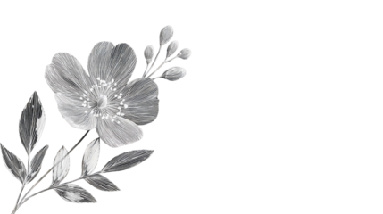 Botanical Grace: Delicate blooms and elegant leaves, rendered in grayscale, showcase the beauty of floral composition with simplicity and sophistication.