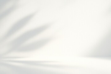 Obraz premium Soft White Background with Subtle Leaf Shadows and Copy Space