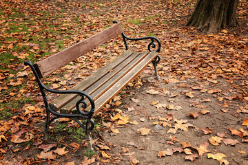Close up image of bench in the park during sunset, at autumn season