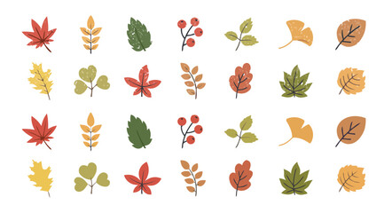 Assortment of Colorful Fall Leaves Featuring Various Shapes and Hues of Autumn Representing Seasonal Changes and Natural Beauty