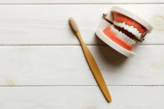 Closeup model of a human jaw with white teeth and Toothbrush. Dentistry conceptual photo. Prosthetic dentistry. False teet top view with copy space