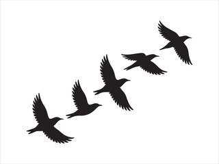 Fototapeta premium Group of flying birds silhouette illustration vector design. A flock of birds flying in silhouette isolated vector